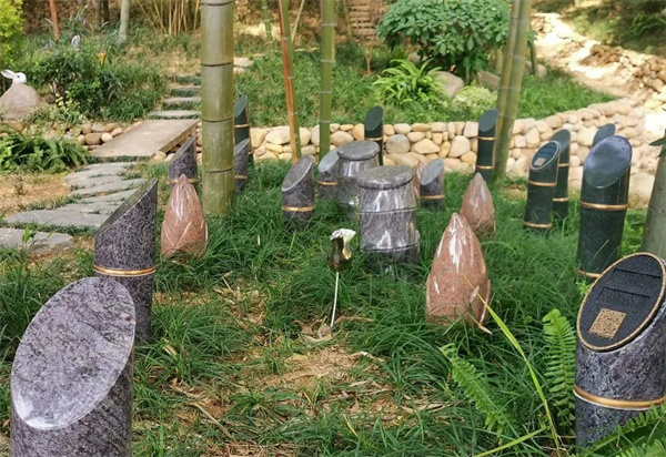 微信图片_20230301130536.jpg